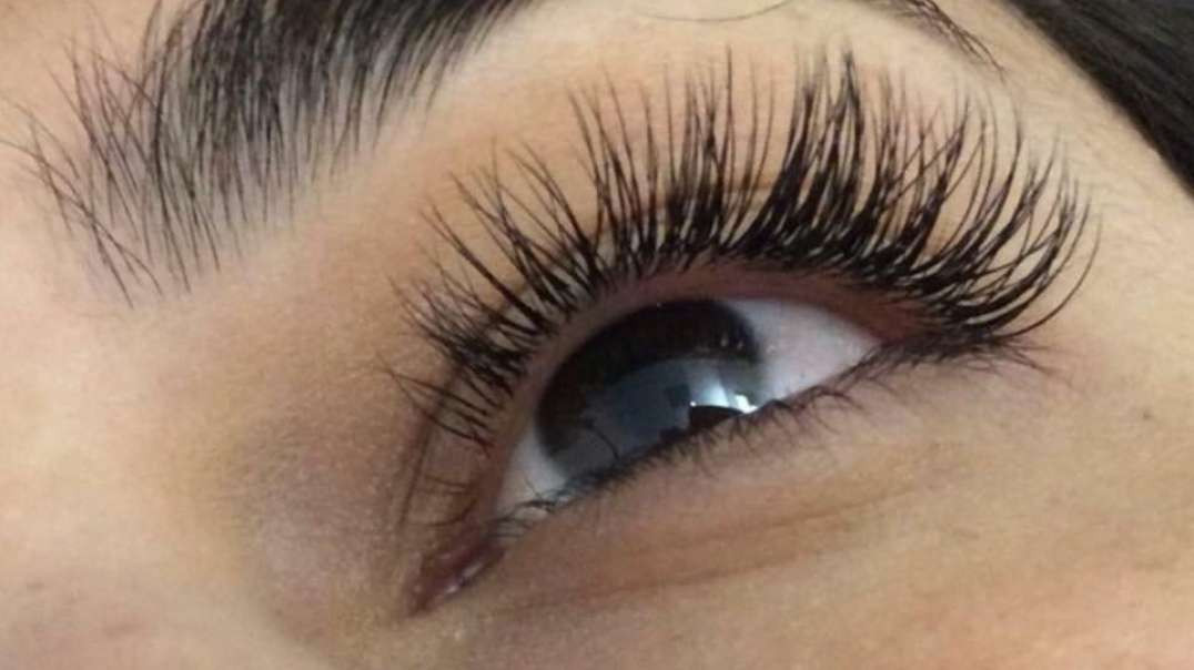 Lashnation, LLC : Lash Extensions in Alexandria, VA | 22314