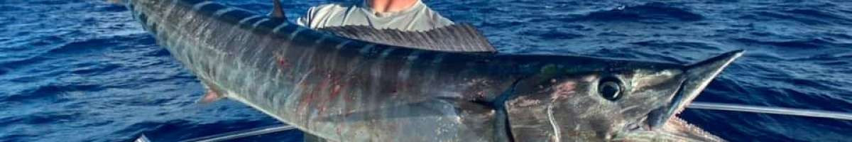 Snap Em Up Fishing Charters LLC 